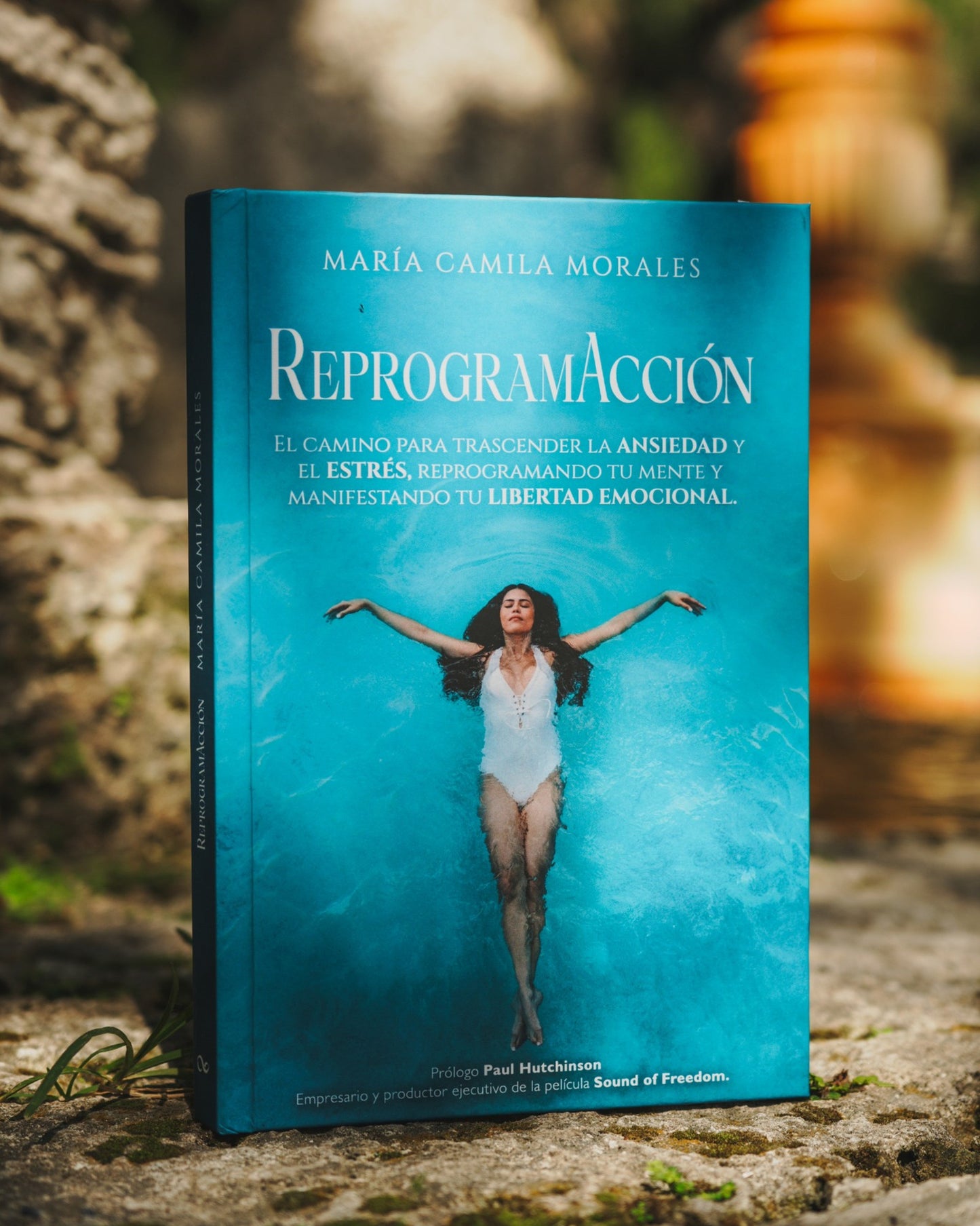 ReprogramAccion Book